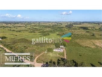 https://www.gallito.com.uy/campo-de-28ha-muy-cerca-de-san-carlos-con-muy-buen-arroyo-inmuebles-24917634