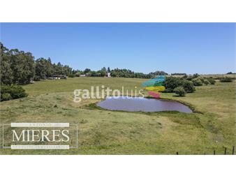 https://www.gallito.com.uy/chacra-de-5ha-con-casa-maldonado-ruta-39-a-30-km-de-pde-inmuebles-24839936