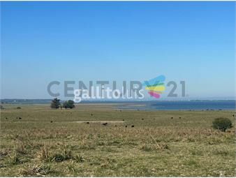 https://www.gallito.com.uy/chacra-maritima-de-20-ha-en-la-reserva-natural-de-laguna-inmuebles-24583322