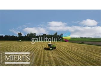 https://www.gallito.com.uy/campo-de-200ha-agricolas-en-durazno-inmuebles-24578413