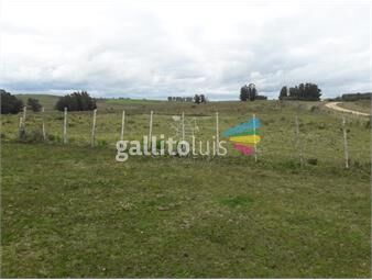 https://www.gallito.com.uy/campo-de-21-has-con-6010-m2-en-paraje-jose-ignacio-inmuebles-22910062