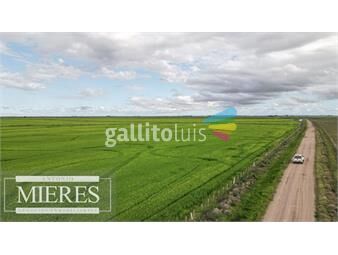 https://www.gallito.com.uy/campo-agricola-ganadero-930ha-rocha-inmuebles-23269317