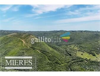 https://www.gallito.com.uy/campo-de-151ha-en-las-sierras-de-maldonado-inmuebles-25097807