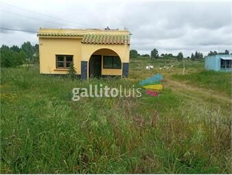 https://www.gallito.com.uy/alquiler-campo-con-casa-frente-a-ruta-6-sauce-inmuebles-26302620