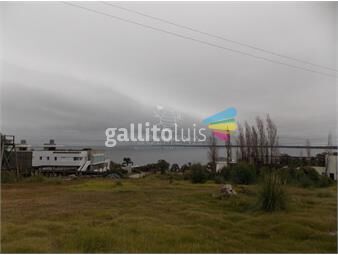 https://www.gallito.com.uy/terreno-en-punta-ballena-con-muy-buena-vista-al-mar-inmuebles-22908965