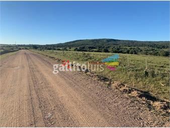 https://www.gallito.com.uy/venta-campo-419-has-ganaderas-rocha-inmuebles-24369177