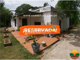 https://www.gallito.com.uy/alquilo-chacra-en-progreso-1-hectarea-en-excelente-ubic-inmuebles-25759458