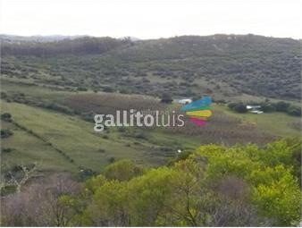 https://www.gallito.com.uy/campo-en-maldonado-i-ha-74-i-ic10-inmuebles-26320036