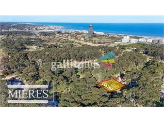 https://www.gallito.com.uy/venta-terreno-esquinero-playa-brava-inmuebles-19015513