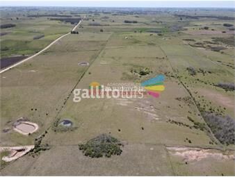 https://www.gallito.com.uy/campo-en-venta-19-has-en-tapia-2-casas-tajamares-a-15-mi-inmuebles-24598106