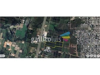 https://www.gallito.com.uy/terreno-9-hectareas-ruta-5-km-22-inmuebles-26325392