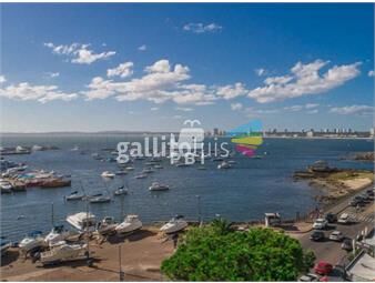 https://www.gallito.com.uy/exclusivo-apartamento-en-venta-6-dormitorios-punta-del-es-inmuebles-24863364