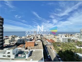 https://www.gallito.com.uy/apartamento-en-peninsula-3-dormitorios-inmuebles-24987691