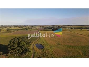 https://www.gallito.com.uy/campo-de-40ha-con-arroyo-en-maldonado-agricola-ganadero-inmuebles-26333748