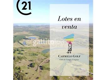 https://www.gallito.com.uy/solar-en-venta-en-carmelo-golf-de-3632m2-al-mejor-precio-inmuebles-24308341