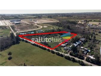 https://www.gallito.com.uy/terrenos-venta-paso-de-la-arena-proximos-a-la-uam-inmuebles-25955036