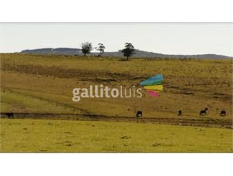 https://www.gallito.com.uy/campo-garzon-inmuebles-23782739