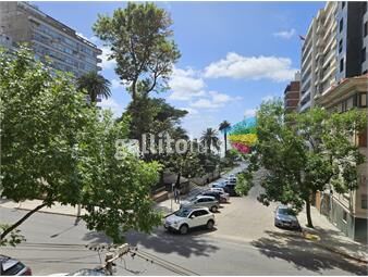 https://www.gallito.com.uy/plaza-gomensoro-unica-planta-llana-de-500-m2-terraza-de-inmuebles-26364106