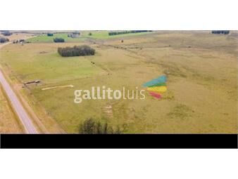 https://www.gallito.com.uy/campo-en-venta-54-hectareas-ruta-39-inmuebles-25828151