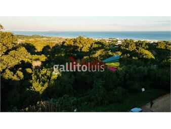 https://www.gallito.com.uy/terreno-en-venta-en-punta-ballena-maldonado-inmuebles-25917381