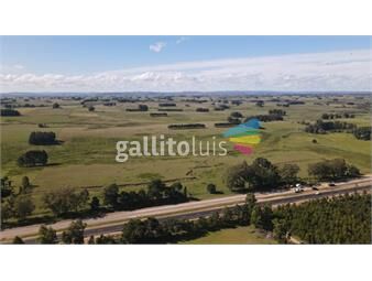 https://www.gallito.com.uy/campo-de-22ha-sobre-ruta-9-maldonado-inmuebles-26364910