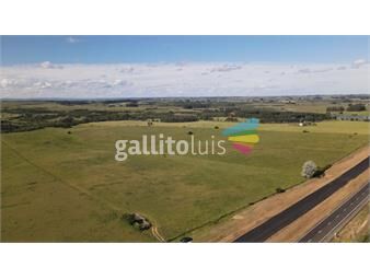 https://www.gallito.com.uy/campo-de-32ha-bien-ubicado-en-ruta-9-maldonado-jose-igna-inmuebles-26364990