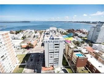 https://www.gallito.com.uy/apartamento-en-peninsula-3-dormitorios-inmuebles-17597359