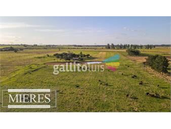 https://www.gallito.com.uy/campo-287-hectareas-ganadero-excelente-ubicacion-lavalle-inmuebles-26144433