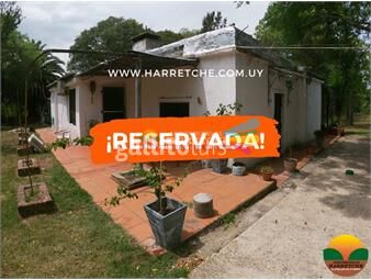 https://www.gallito.com.uy/chacra-en-progreso-1-has-casa-piscina-barbacoa-frutale-inmuebles-23404868