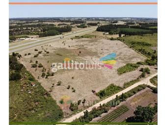 https://www.gallito.com.uy/terreno-en-alquiler-44857-m2-urbanos-ruta-5-apto-parque-i-inmuebles-22779037