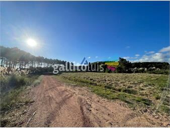 https://www.gallito.com.uy/venta-terreno-maldonado-altos-de-la-laguna-432m2-inmuebles-25190263