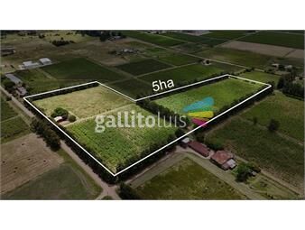 https://www.gallito.com.uy/venta-campo-chacra-terreno-casa-financiado-5-hecta-inmuebles-26385767