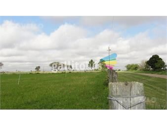 https://www.gallito.com.uy/terreno-en-zona-de-san-pedro-muy-buena-ubicacion-campo-pr-inmuebles-25618145