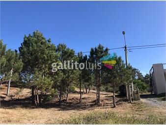 https://www.gallito.com.uy/terreno-en-venta-punta-del-diablo-inmuebles-26392449