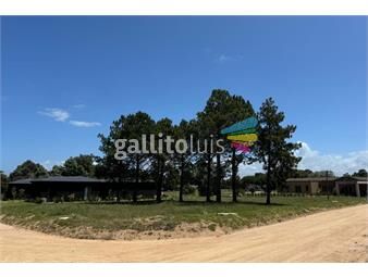 https://www.gallito.com.uy/terreno-en-venta-inmuebles-26364674