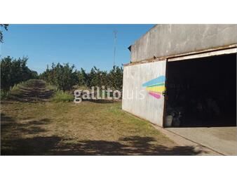 https://www.gallito.com.uy/venta-de-chacra-en-melilla-inmuebles-23613444