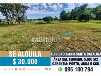 https://www.gallito.com.uy/alquiler-terreno-5000m2-pajas-blancas-montevideo-mg-inmuebles-26417681