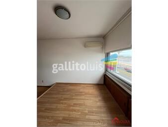 https://www.gallito.com.uy/alquiler-apartamento-1-dormitorio-ccalefaccion-frente-inmuebles-26422838