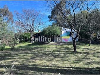 https://www.gallito.com.uy/venta-casa-y-monoambiente-guazuvira-nuevo-inmuebles-26442119