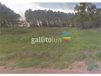 https://www.gallito.com.uy/vendo-terreno-de-1-hectarea-tipo-chacra-en-laguna-del-diar-inmuebles-26443334