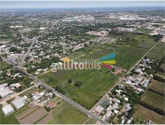 https://www.gallito.com.uy/terreno-en-paso-de-la-arena-77000-m2-unicos-en-la-zona-inmuebles-26228578