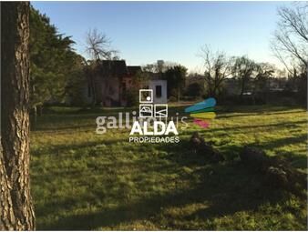 https://www.gallito.com.uy/casa-en-ituzaingo-inversion-terrenos-ref-ca400977-inmuebles-20593080