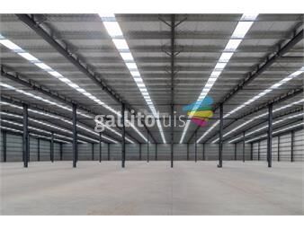 https://www.gallito.com.uy/alquiler-local-galpon-deposito-paso-de-la-arena-camino-bajo-inmuebles-26457828