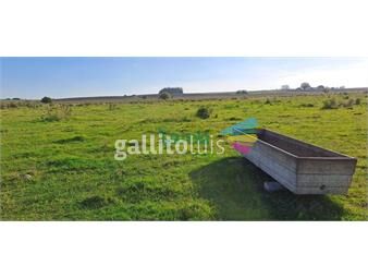 https://www.gallito.com.uy/campo-108-has-proximo-a-san-jacinto-inmuebles-25377345