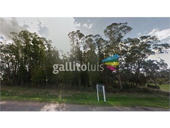 https://www.gallito.com.uy/alquiler-predio-de-1-hectarea-sobre-ruta-8-inmuebles-26464330