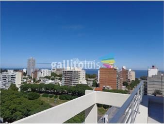 https://www.gallito.com.uy/venta-apartamento-pocitos-1-dormitorio-sarmiento-y-bulevar-inmuebles-26464528