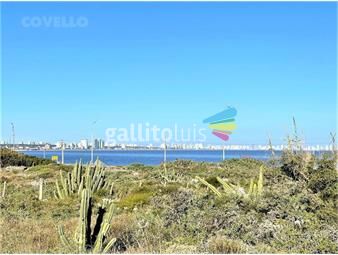 https://www.gallito.com.uy/terreno-en-venta-primera-linea-del-mar-pinares-playa-ma-inmuebles-25619256