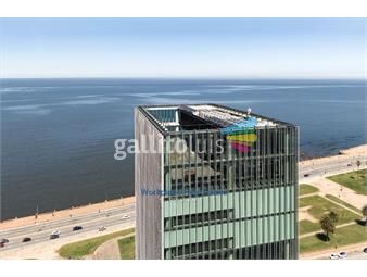 https://www.gallito.com.uy/alquiler-oficinas-edificio-clase-aaa-inmuebles-18163788