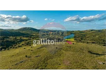 https://www.gallito.com.uy/venta-campo-ganadero-turistico-490-has-maldonado-inmuebles-26483832