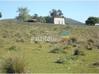 https://www.gallito.com.uy/campo-98-has-con-2891-m2-en-carape-cuenta-con-costa-de-arro-inmuebles-22908286